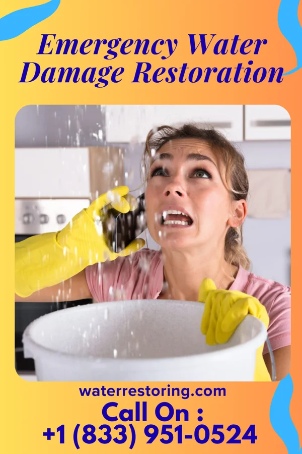 Emergency Water Damage Restoration in Anamoose, ND